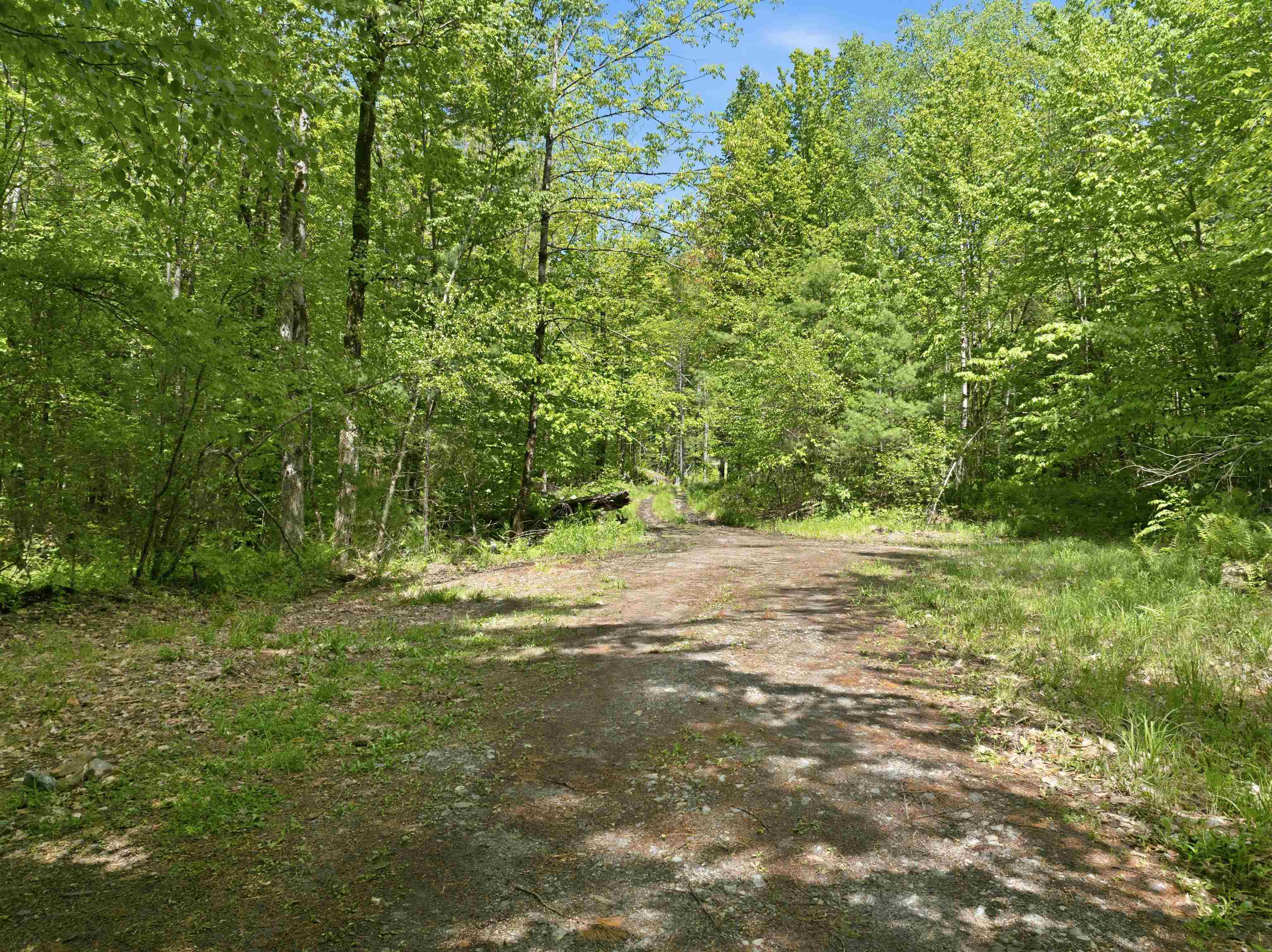 20 Fortsalong Road L