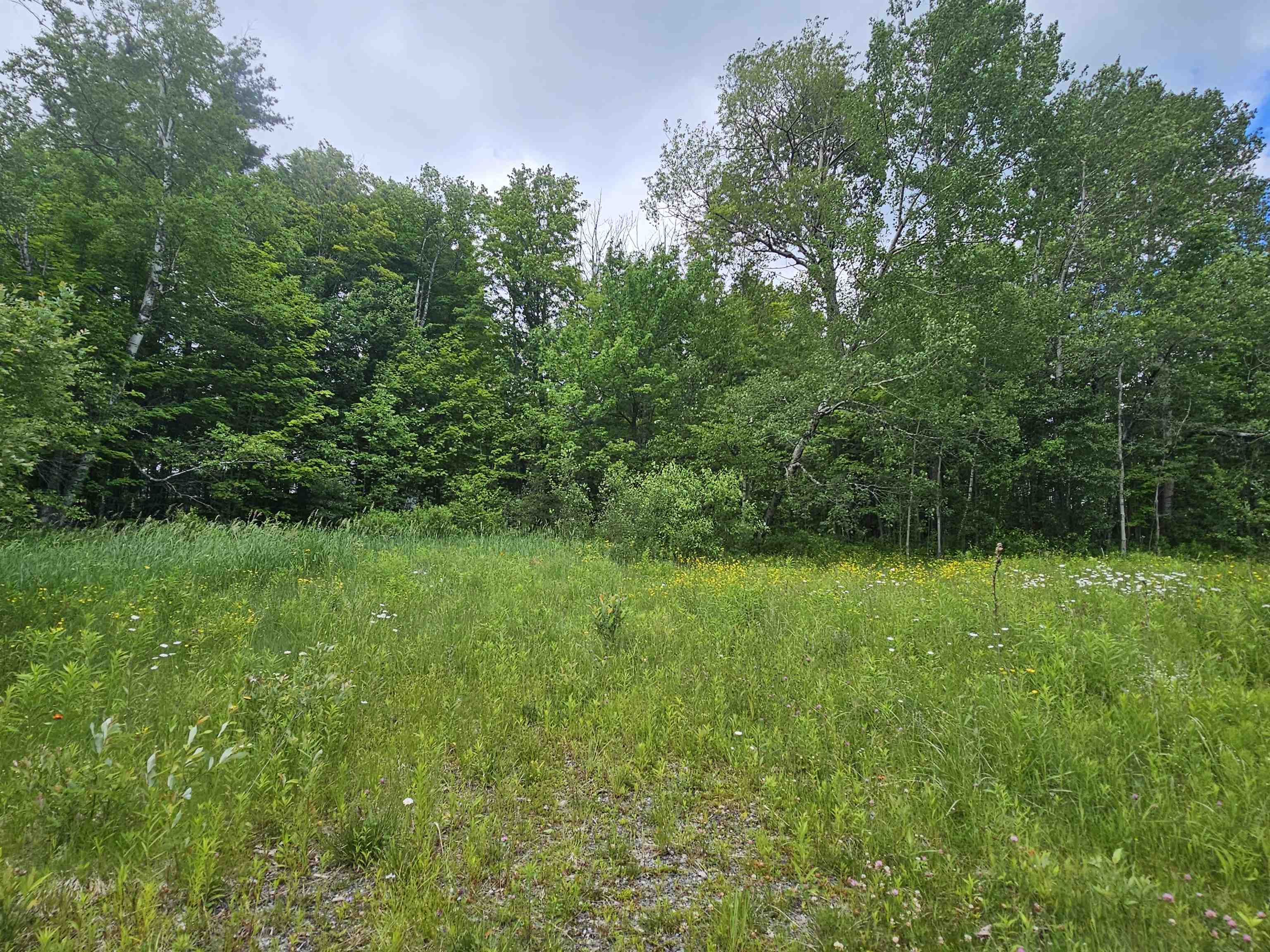 24 Lower Highlands Road