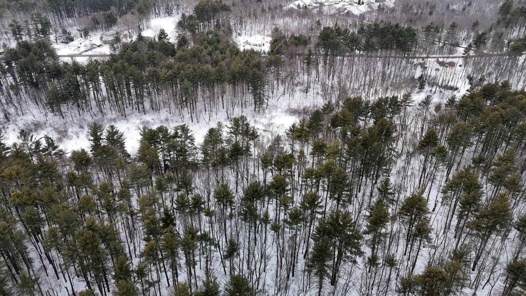 Photo of 101 Page Road, Litchfield, NH 03052 (MLS # 5076490)