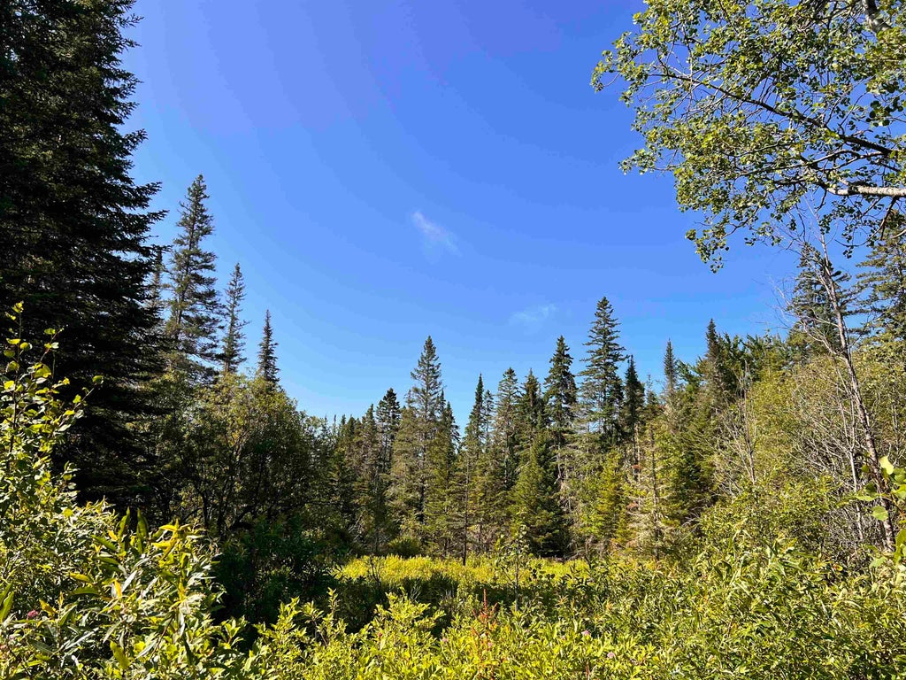 Photo of 00 Noyes Road, Stewartstown, NH 03597 (MLS # 5101785)