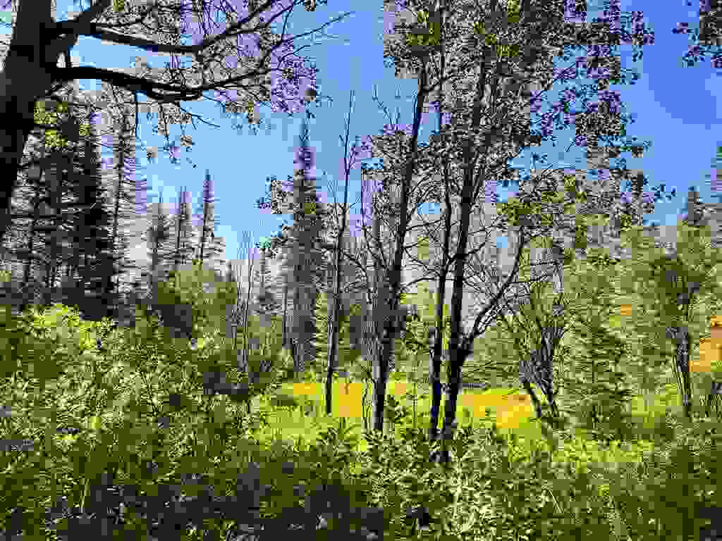 Photo of 00 Noyes Road, Stewartstown, NH 03597 (MLS # 5101785)