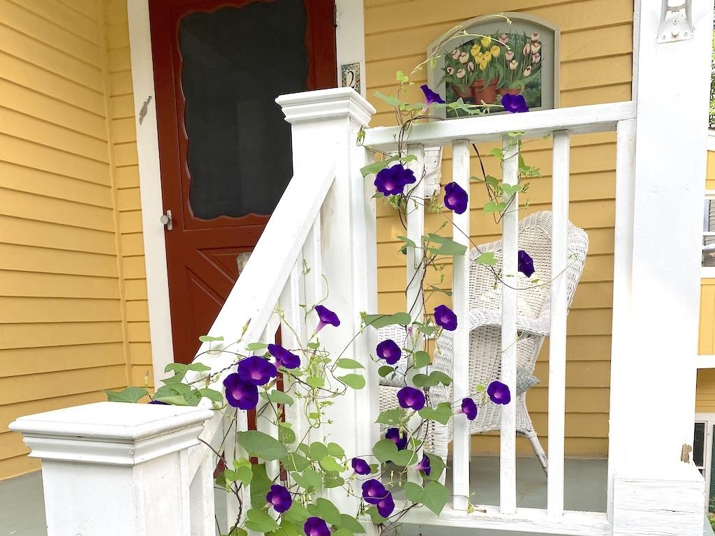 27 Pine Street