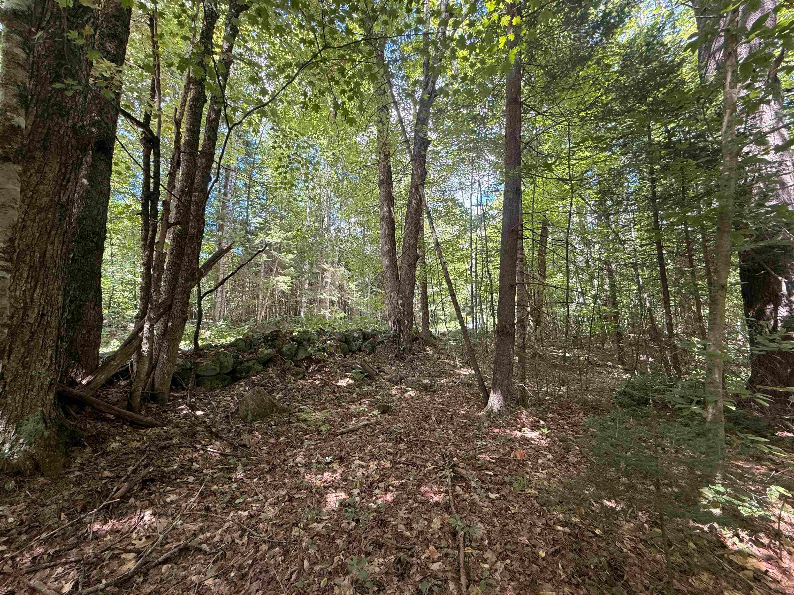 115 Forbes Mountain Road 3