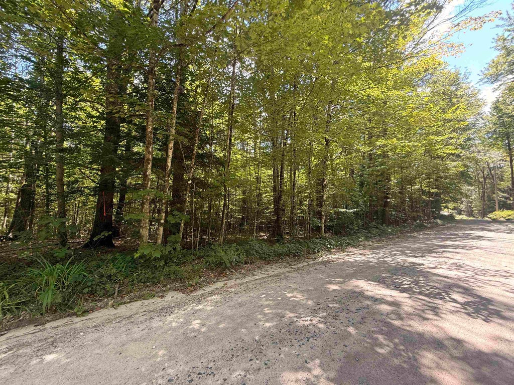 Photo of 115 Forbes Mountain Road #3, Danbury, NH 03230 (MLS # 5105360)