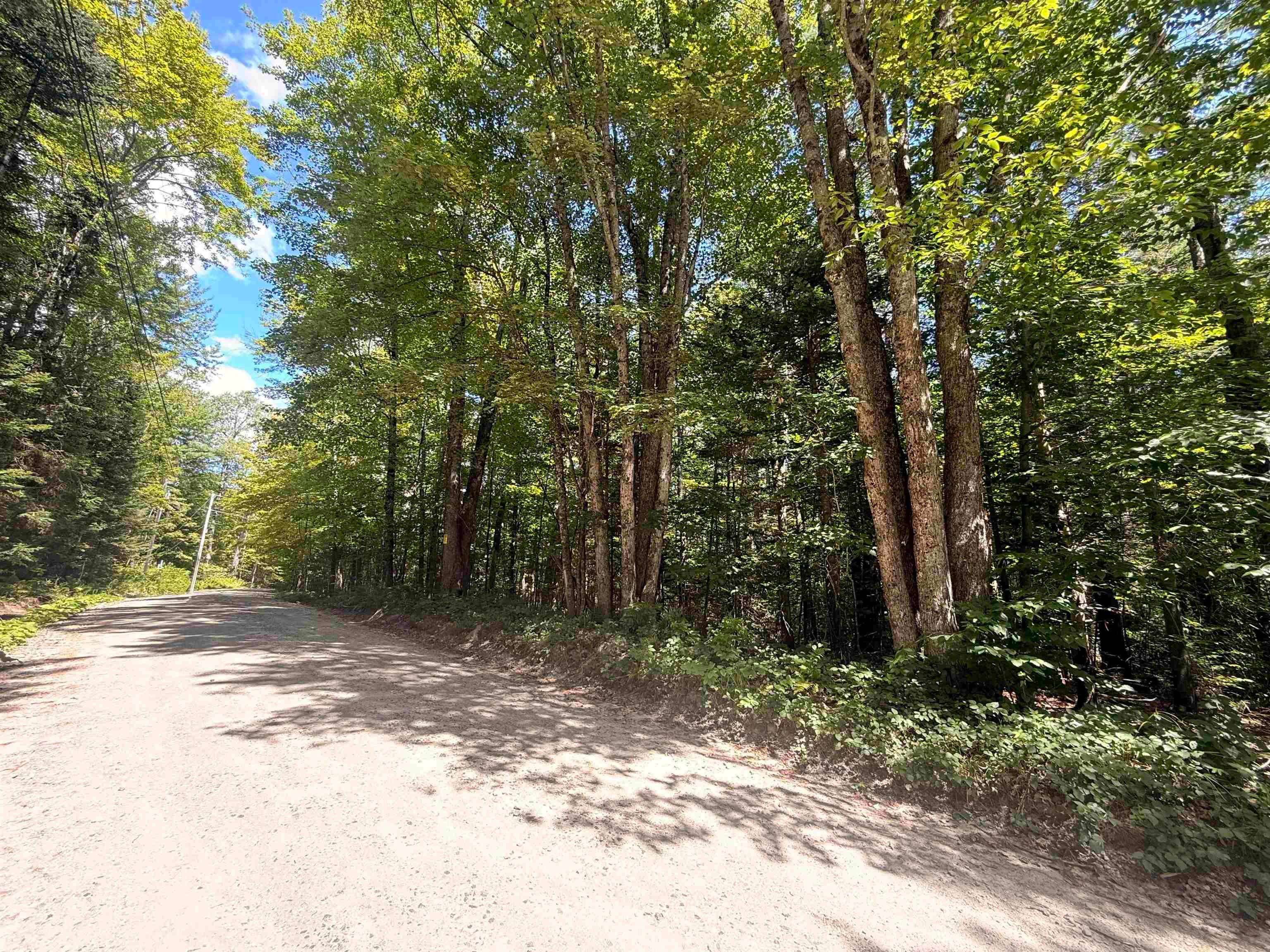 115 Forbes Mountain Road 3