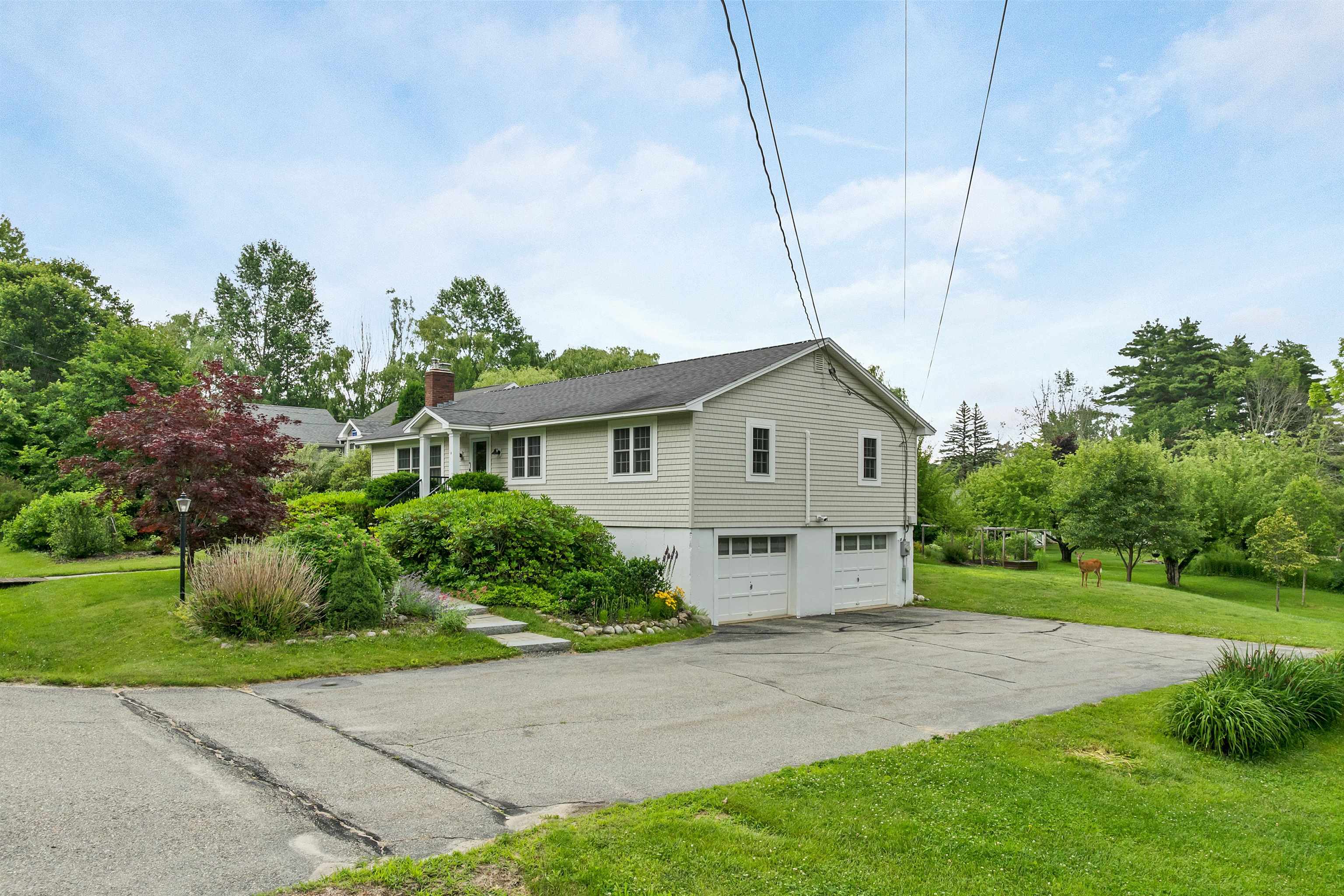 6 Bassett Road