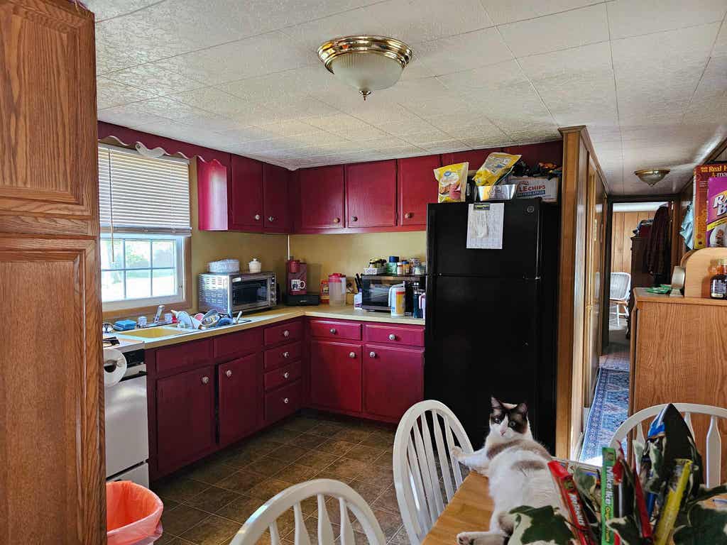 Photo of 41 Hill Road, Dummer, NH 03588 (MLS # 5095507)