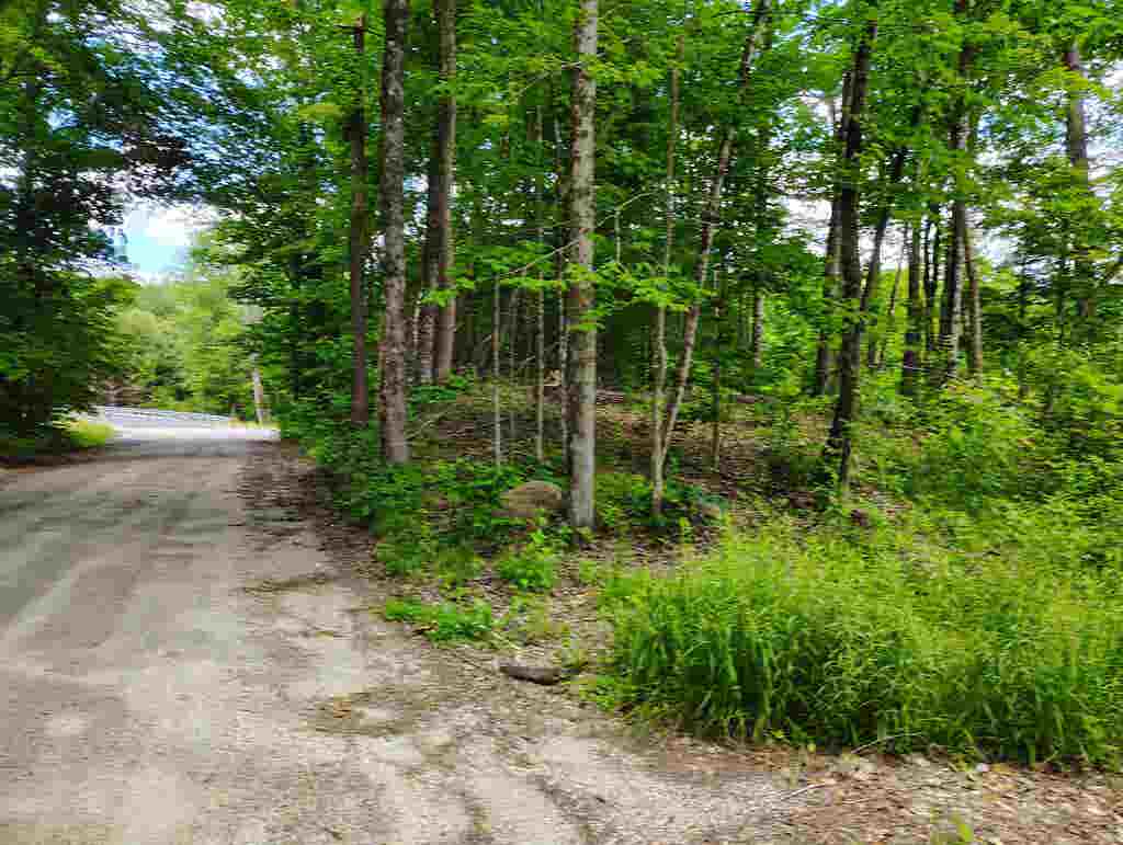 Photo of 12 Frescoln Road, Wentworth, NH 03282 (MLS # 5095186)