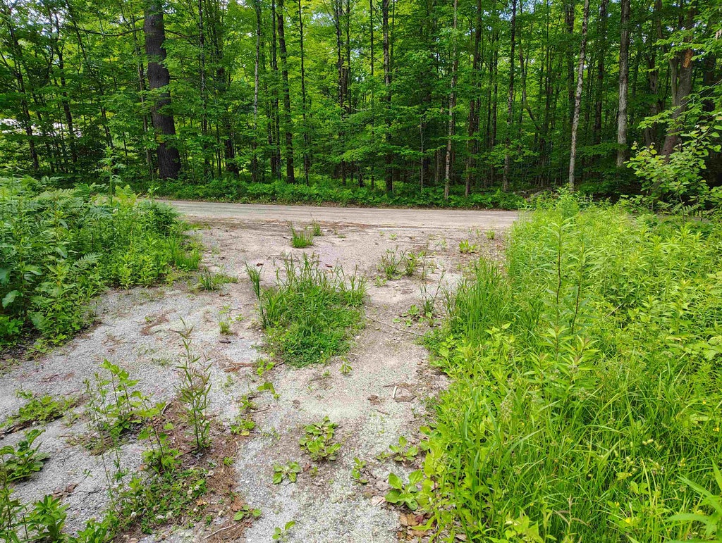 Photo of 12 Frescoln Road, Wentworth, NH 03282 (MLS # 5095186)
