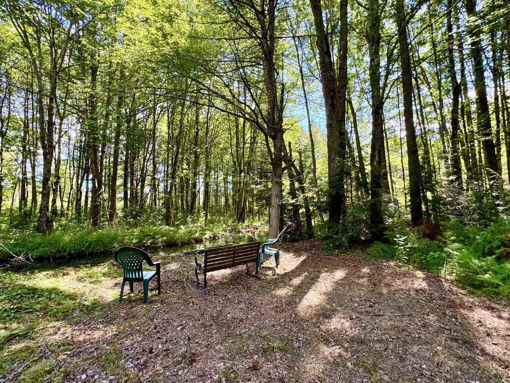 Photo of 2659 NH Route 16, Albany, NH 03818 (MLS # 5085412)