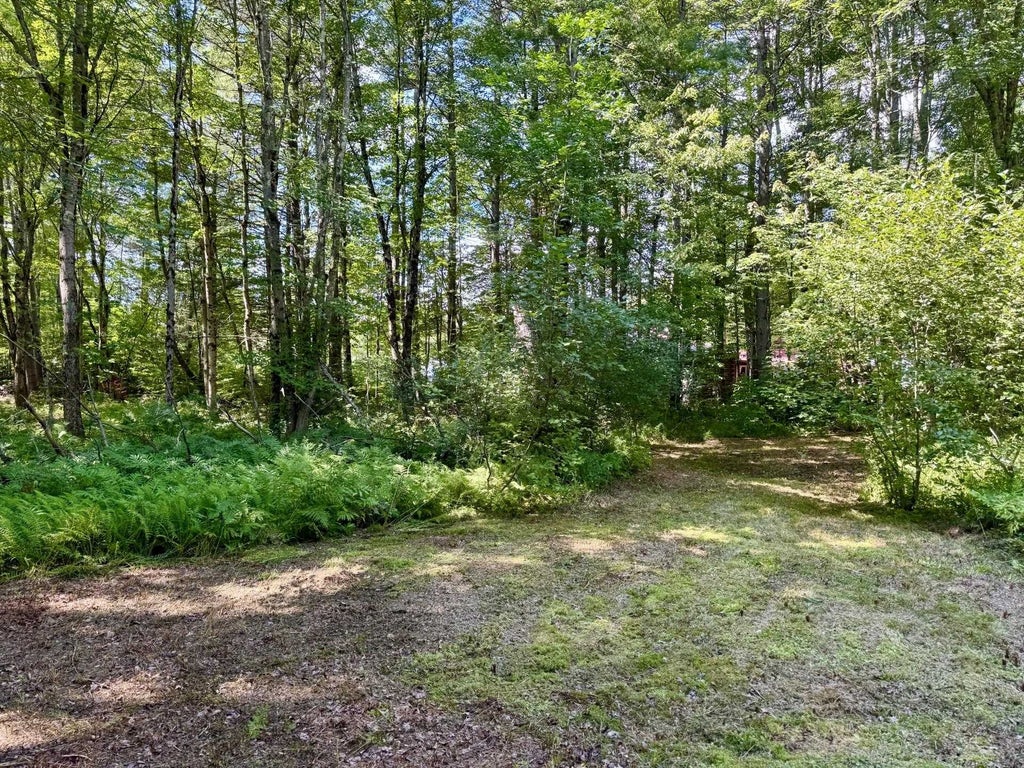 Photo of 2659 NH Route 16, Albany, NH 03818 (MLS # 5085412)