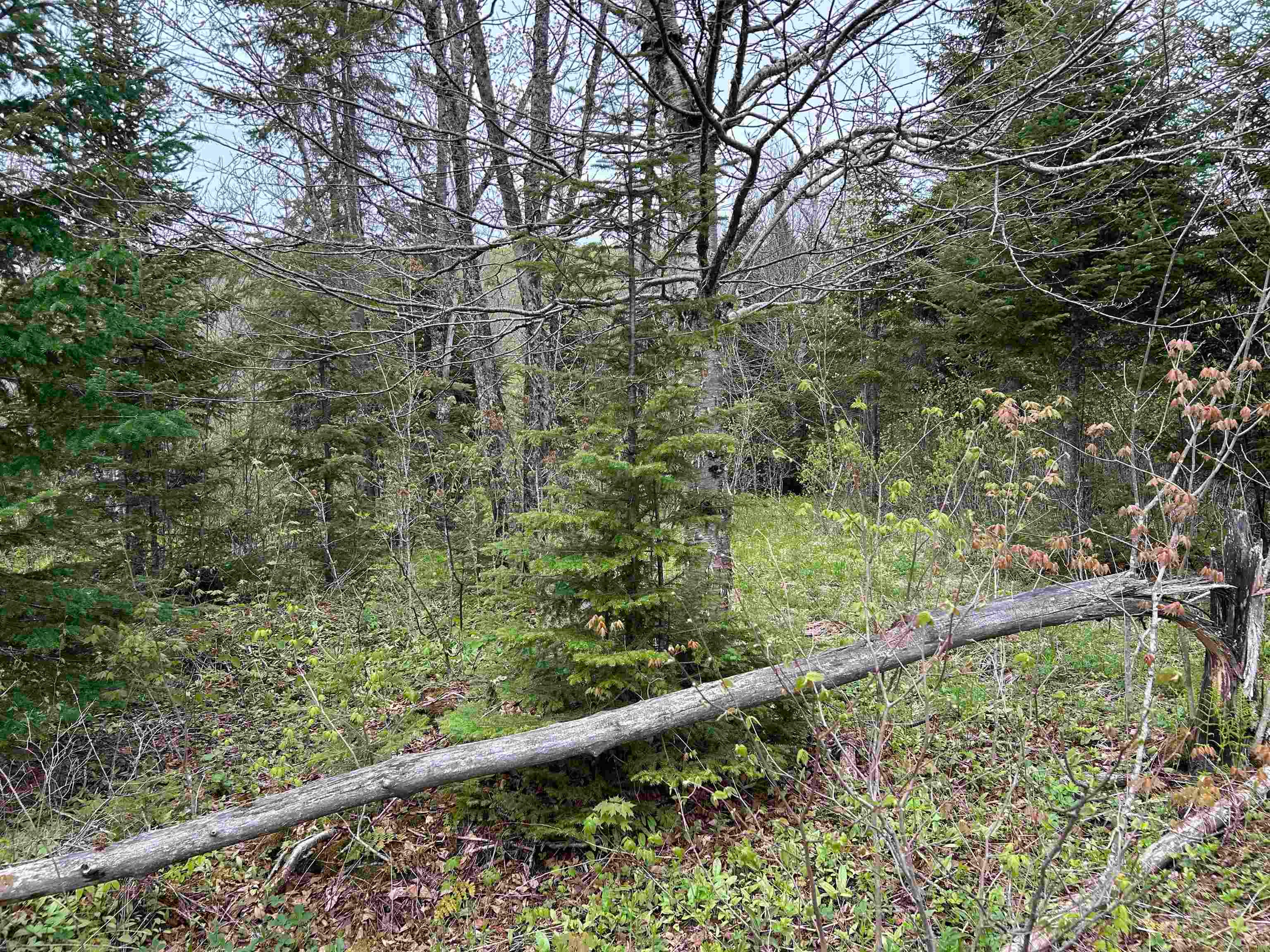 MapB2Lot16 Deadwater Road