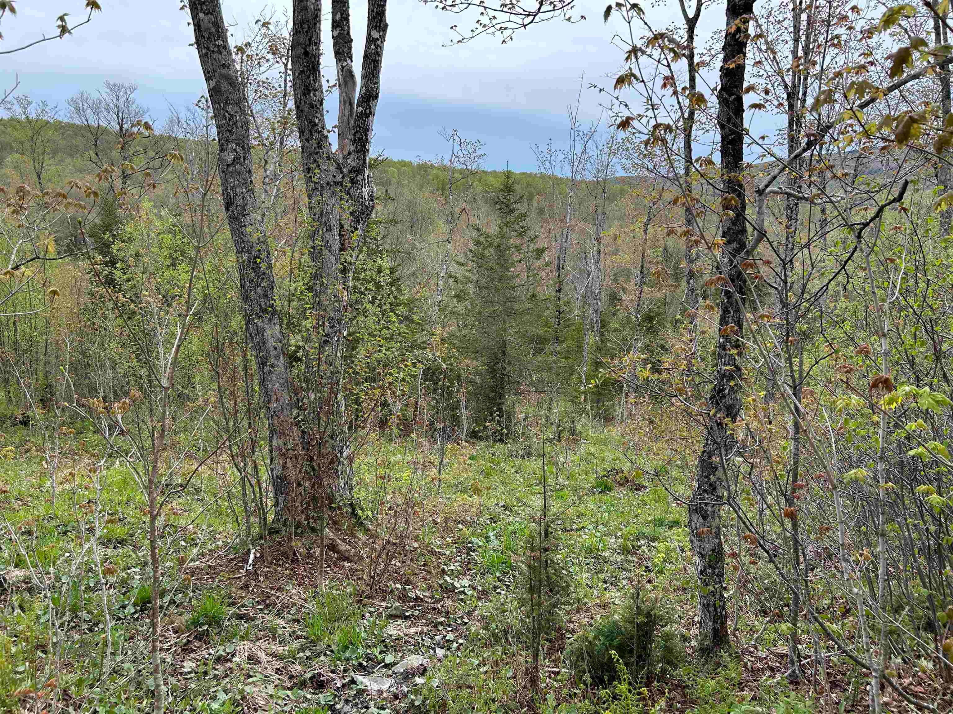 MapB2Lot16 Deadwater Road