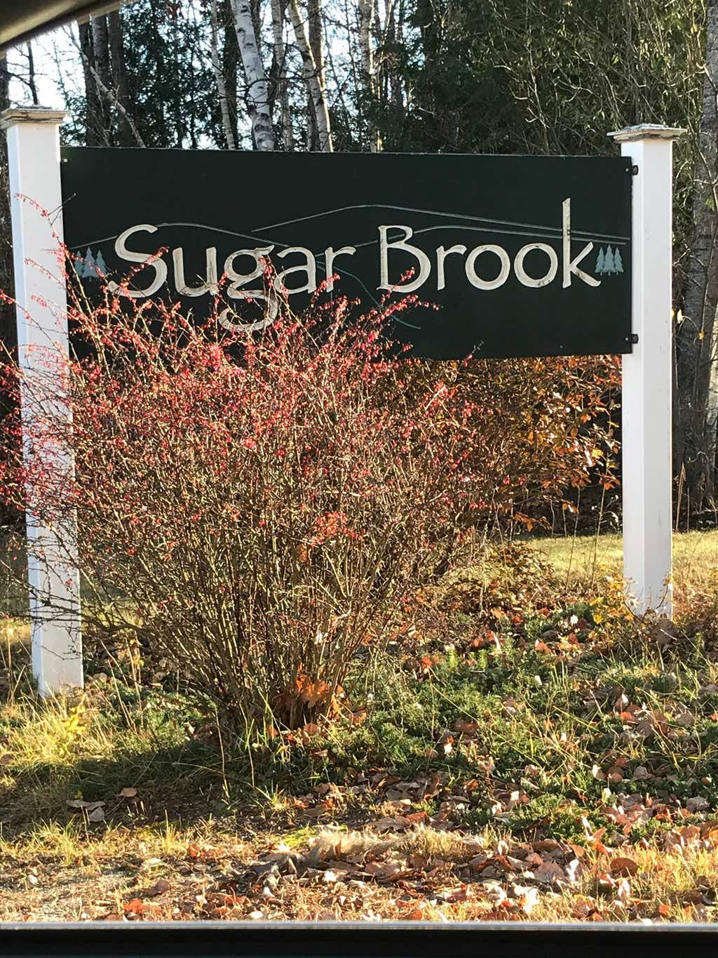 Photo of 35 Brook View Road #119-70, Newport, NH 03773 (MLS # 5017209)