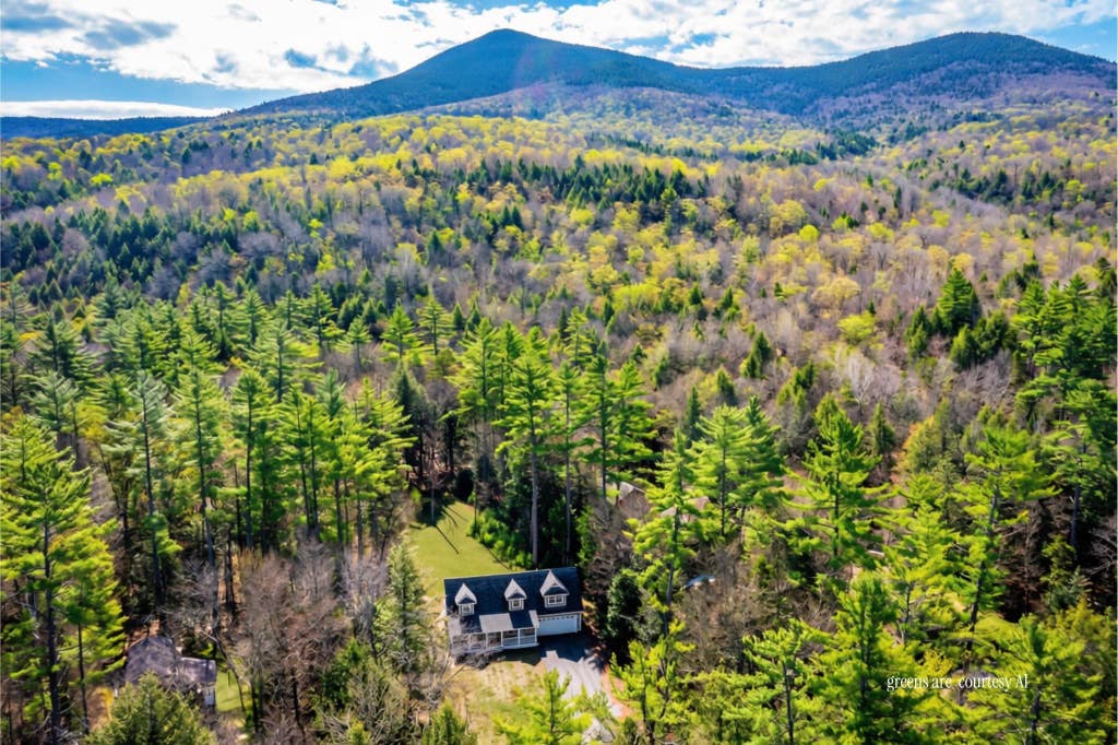 Photo of 458 Town Hall Road, Bartlett, NH 03845 (MLS # 5090493)