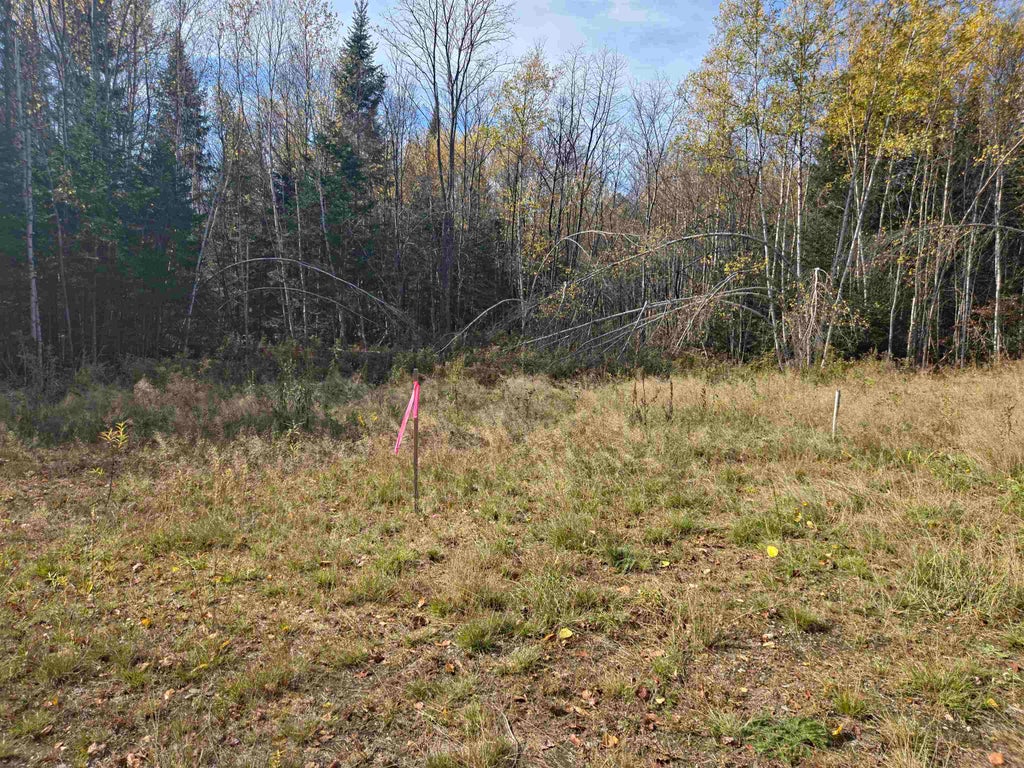 Photo of 0 Bell Hill Road, Stark, NH 03582 (MLS # 5115111)