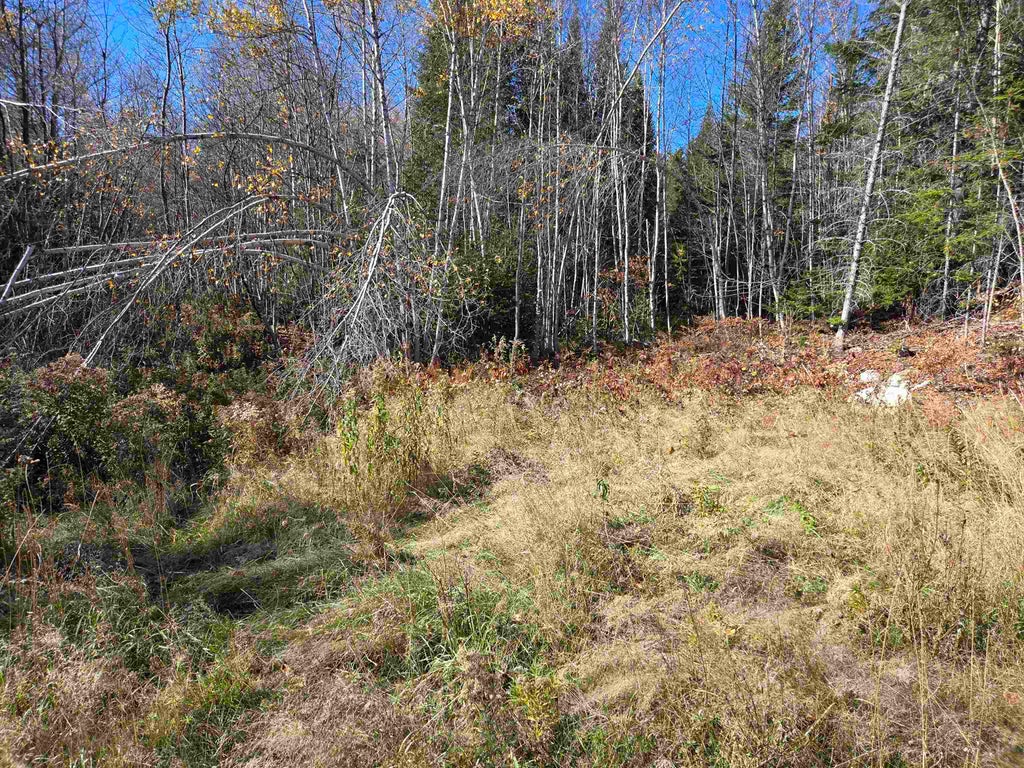 Photo of 0 Bell Hill Road, Stark, NH 03582 (MLS # 5115111)
