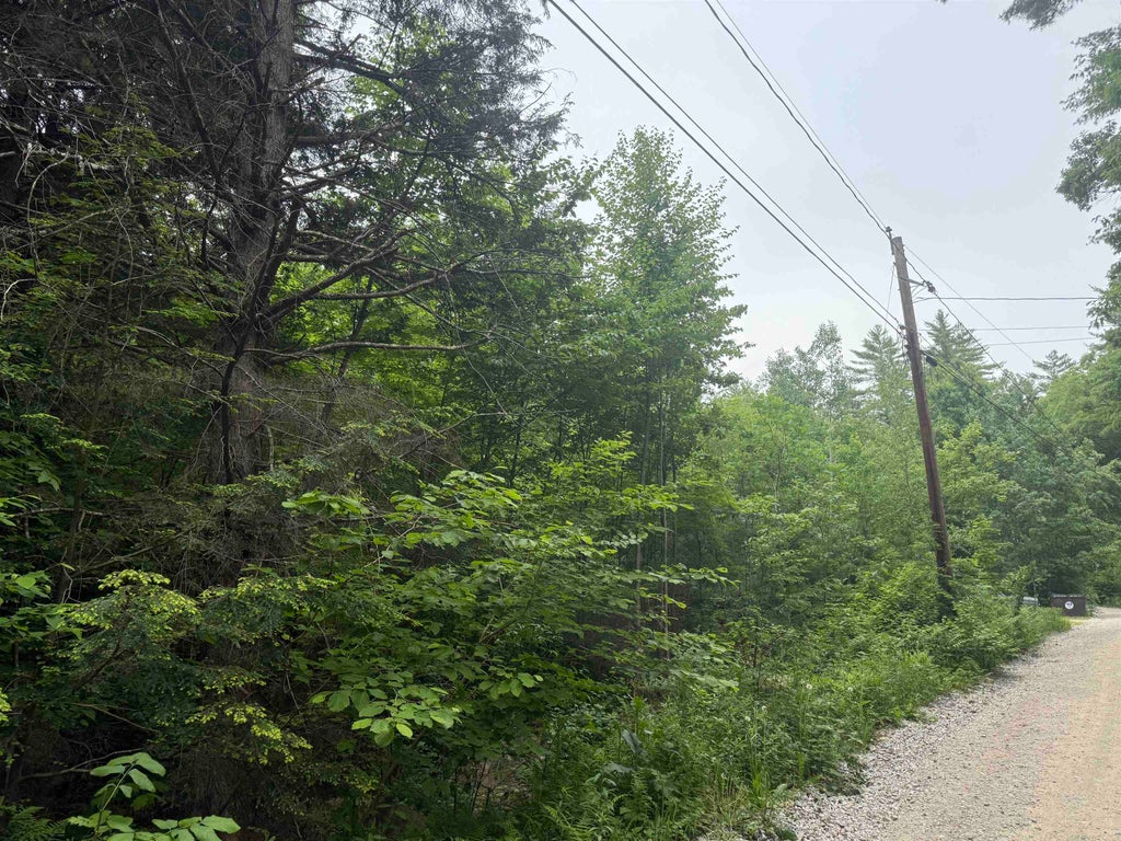 Photo of 44 Huntington Drive, Hillsborough, NH 03244 (MLS # 5093464)