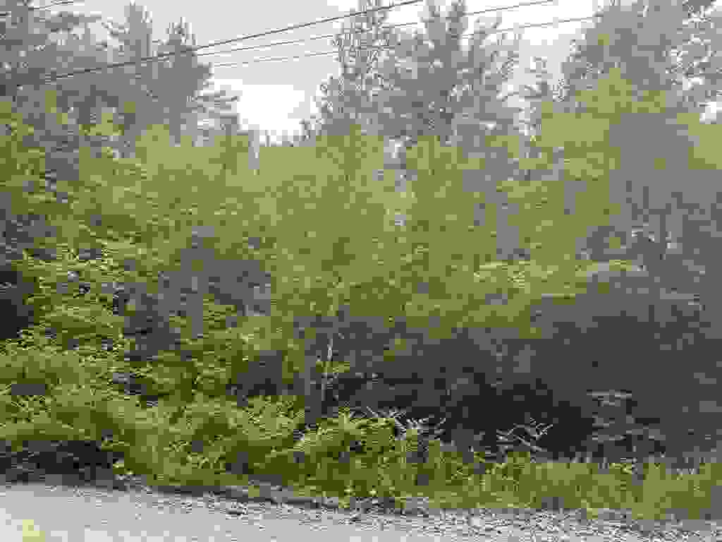 Photo of 44 Huntington Drive, Hillsborough, NH 03244 (MLS # 5093464)