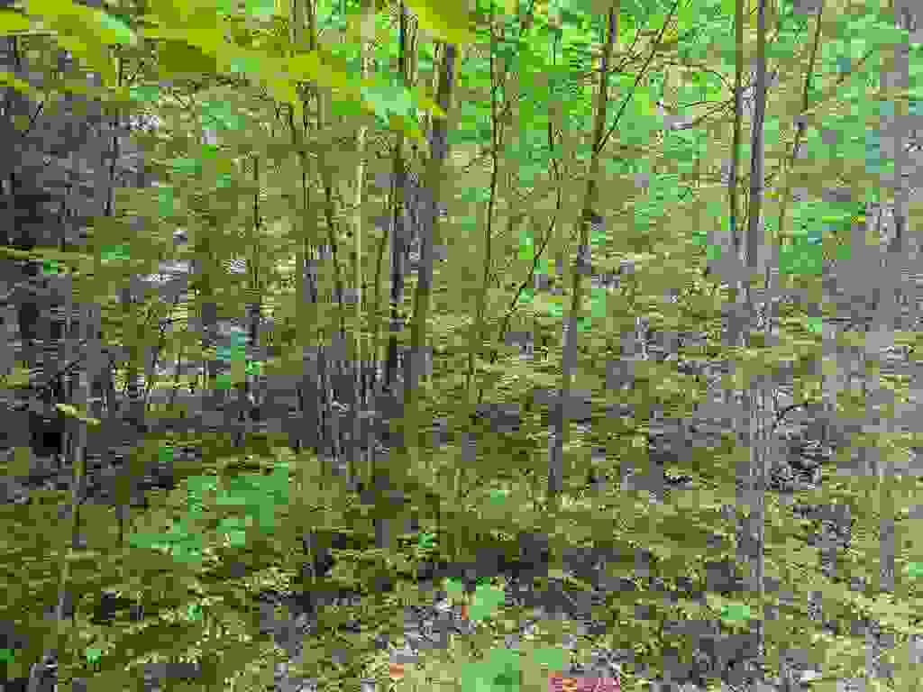 Photo of 44 Huntington Drive, Hillsborough, NH 03244 (MLS # 5093464)