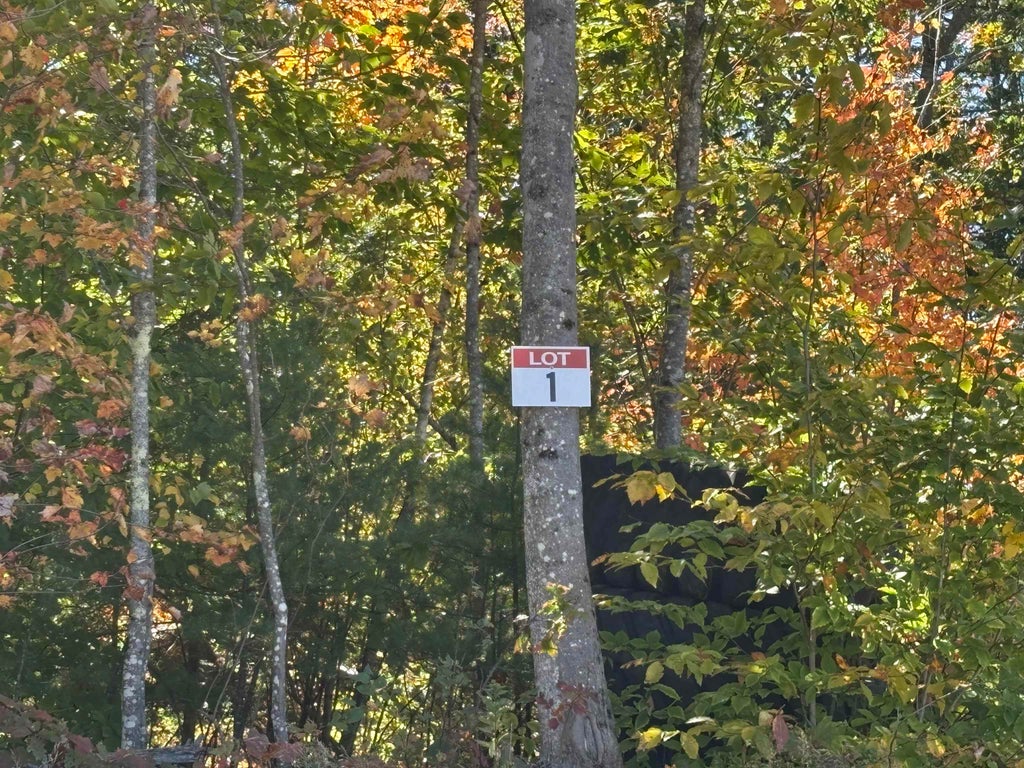 Photo of 00 Federal Corner Road, Tuftonboro, NH 03816 (MLS # 5114271)