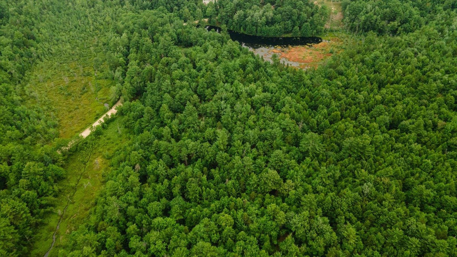 Lot 0 Pine Road