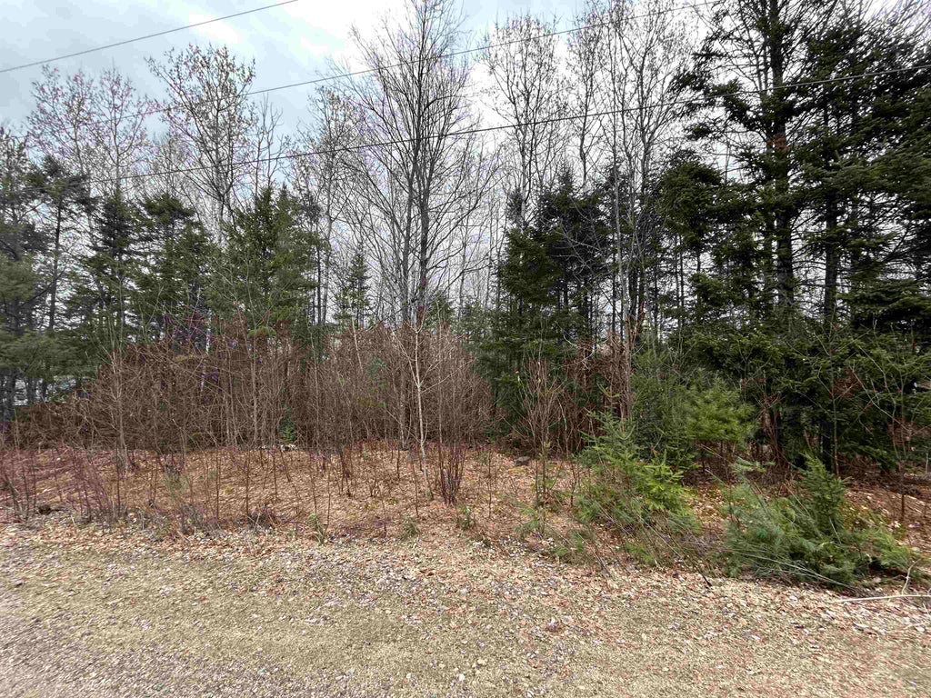Photo of 15 Holbrook Hill Road, Stratford, NH 03590 (MLS # 5078157)
