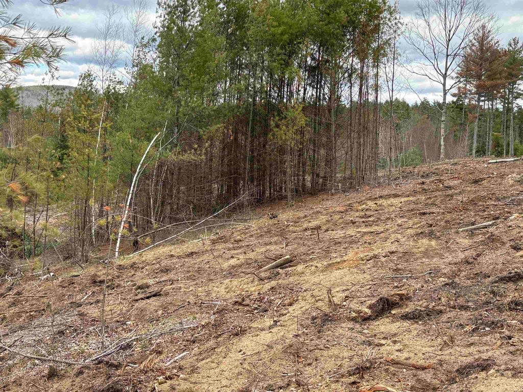 Photo of 550 Route 16 Highway, Ossipee, NH 03864 (MLS # 5092847)