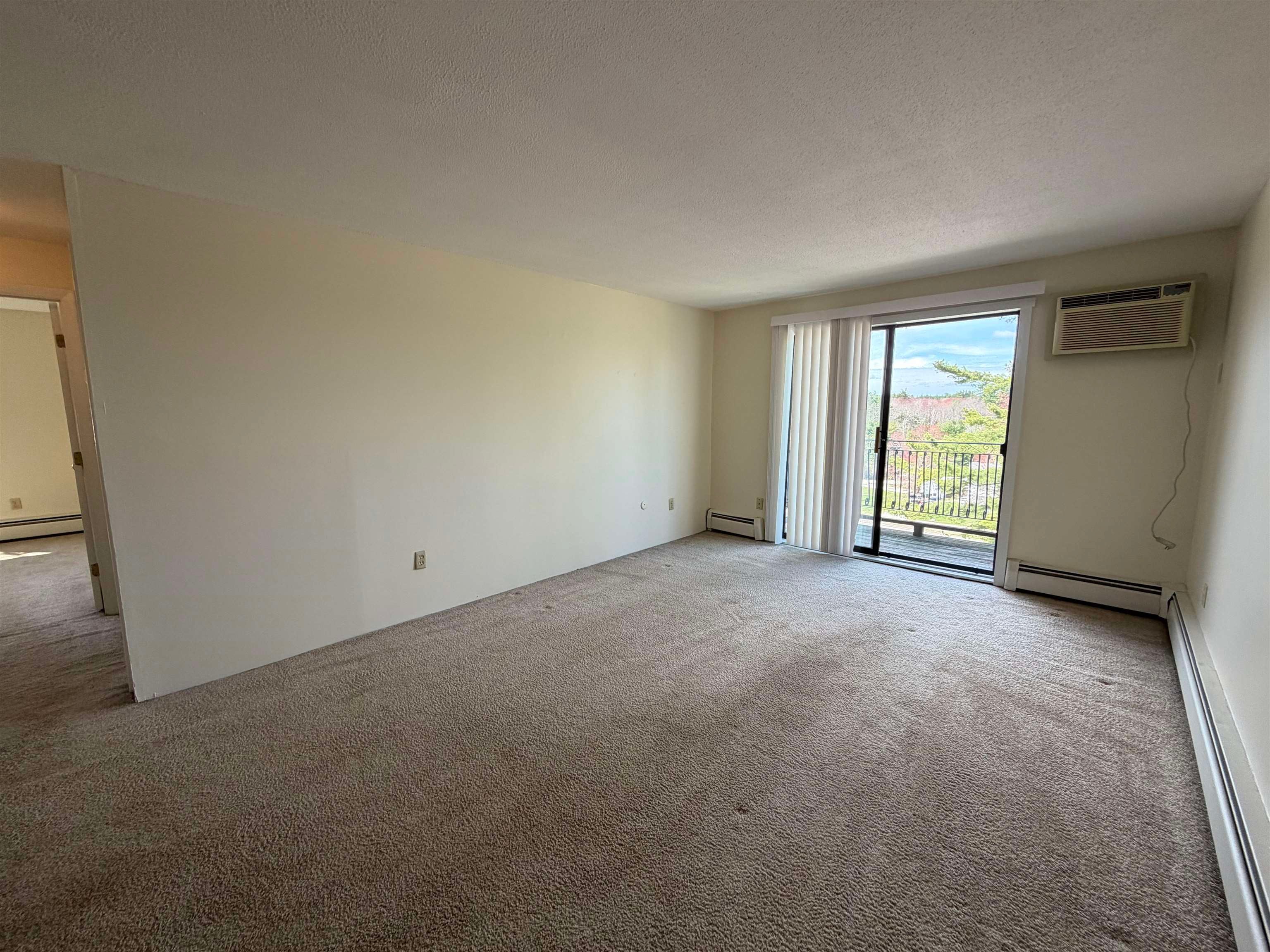 134 Mammoth Road 29