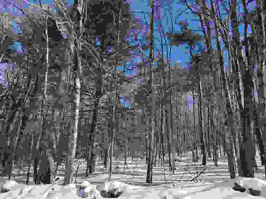 Photo of 164181 Mason Road, Milton, NH 03851 (MLS # 5093124)