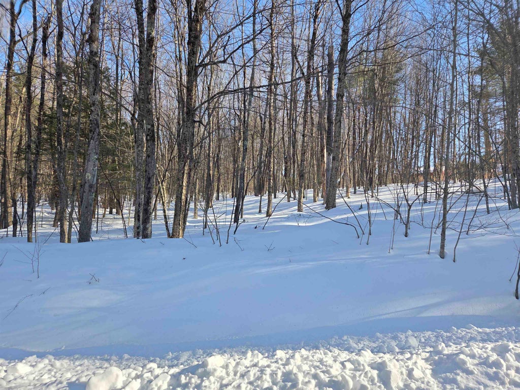 Photo of 164181 Mason Road, Milton, NH 03851 (MLS # 5093124)