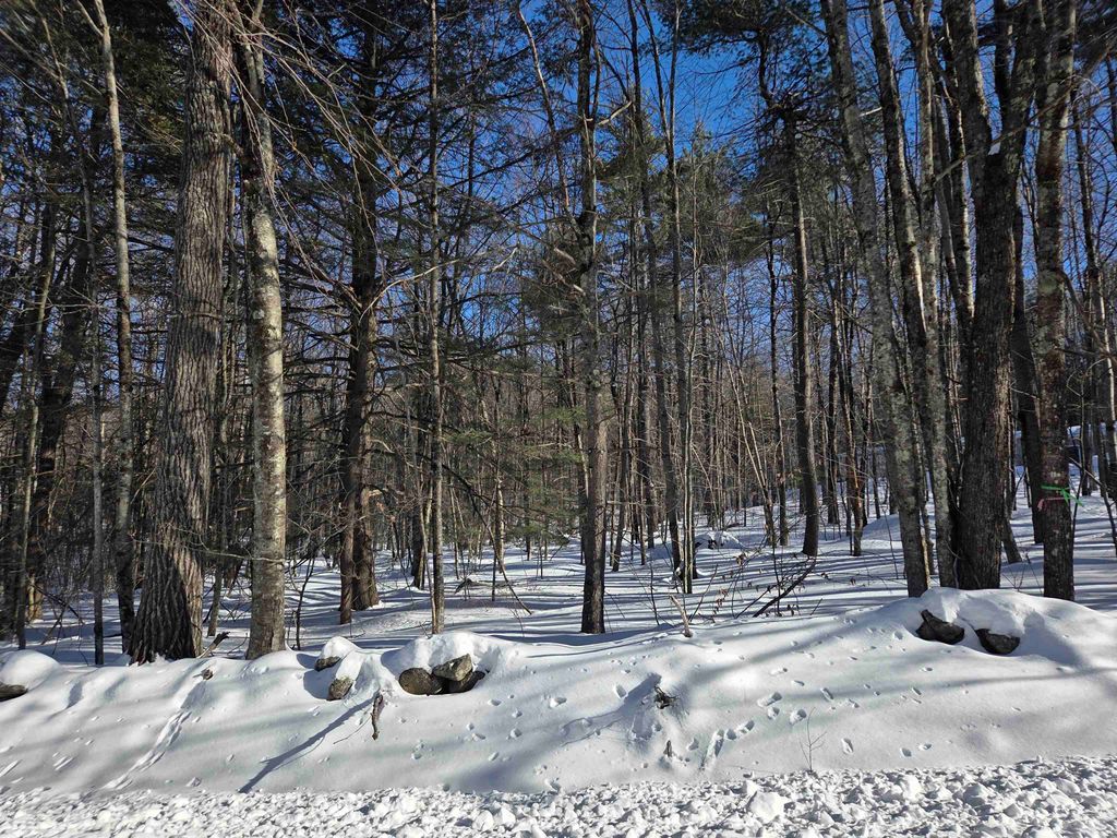 Photo of 164181 Mason Road, Milton, NH 03851 (MLS # 5093124)