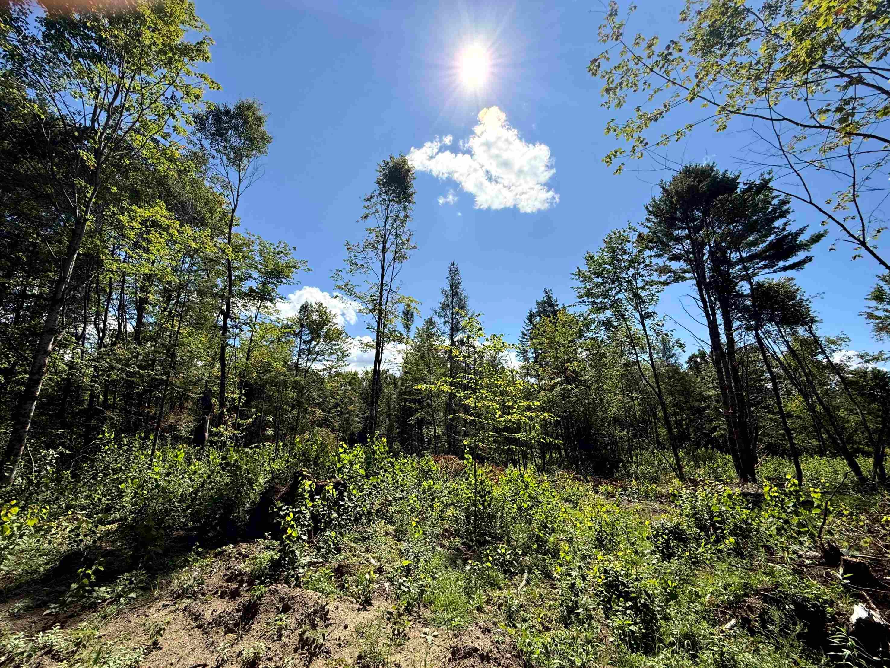 000 Darling Hill Road Lot 3
