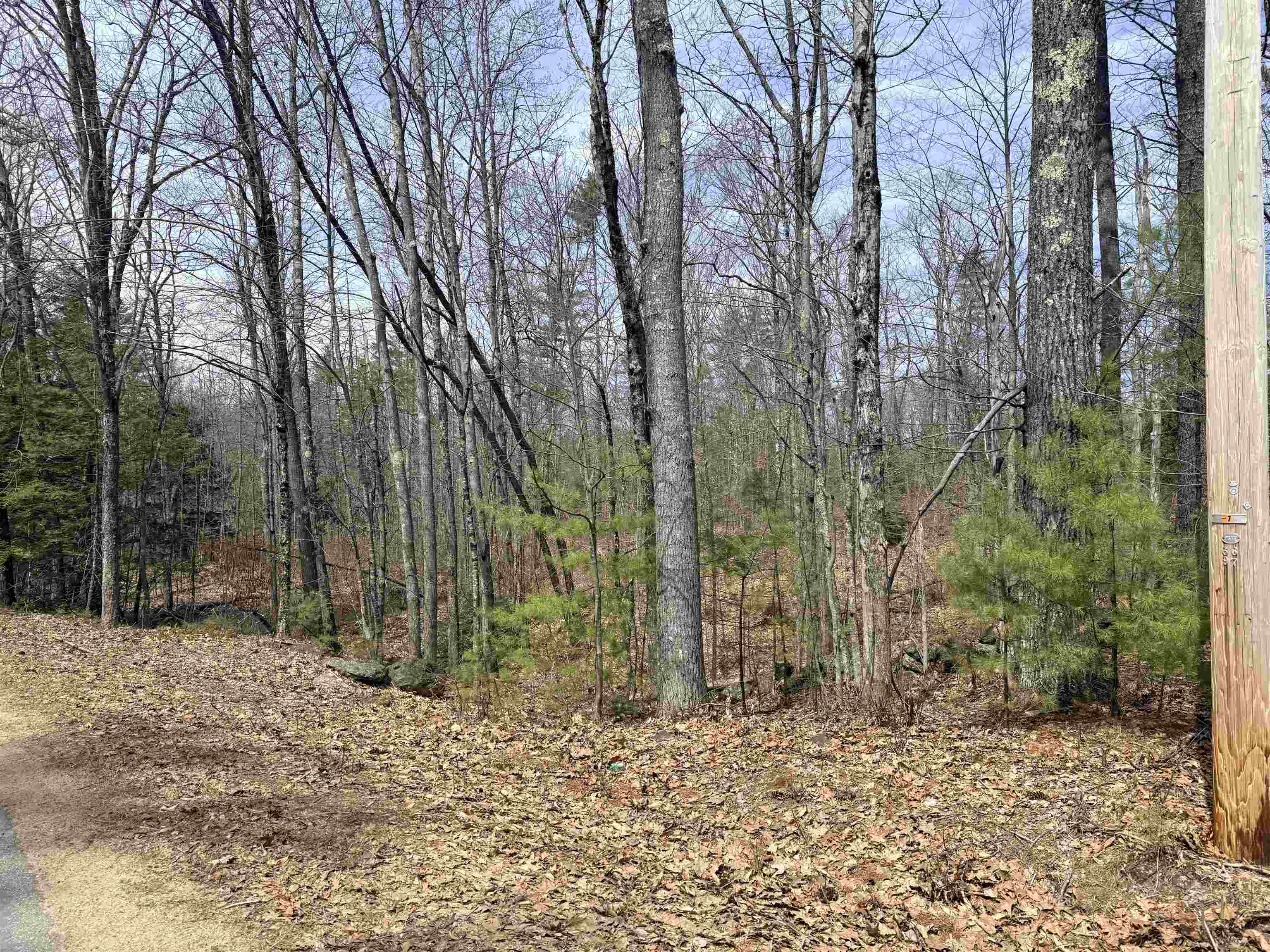 Map 208 Lot 8-1 Baptist Hill Road 8-1