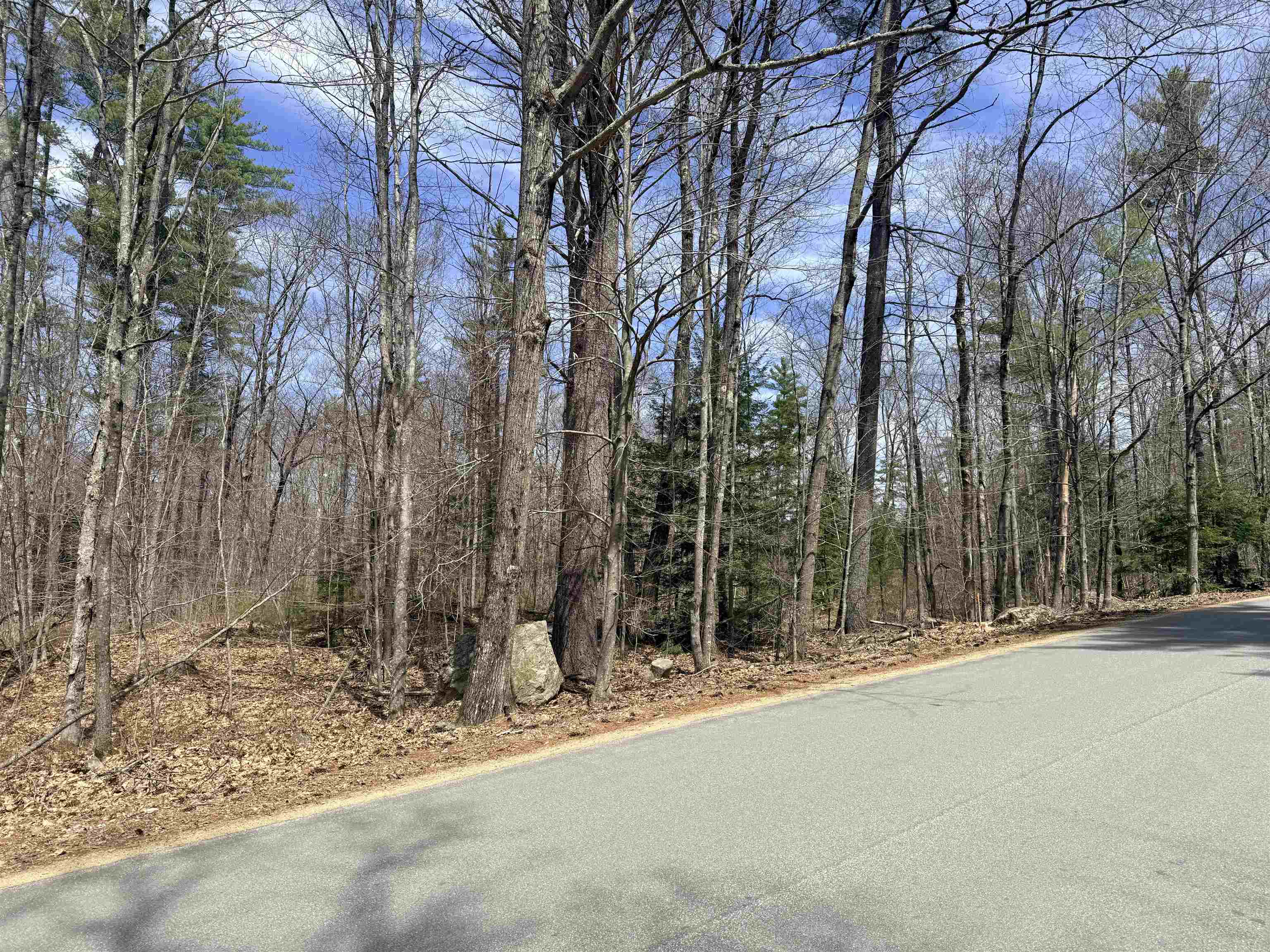 Map 208 Lot 8-1 Baptist Hill Road 8-1