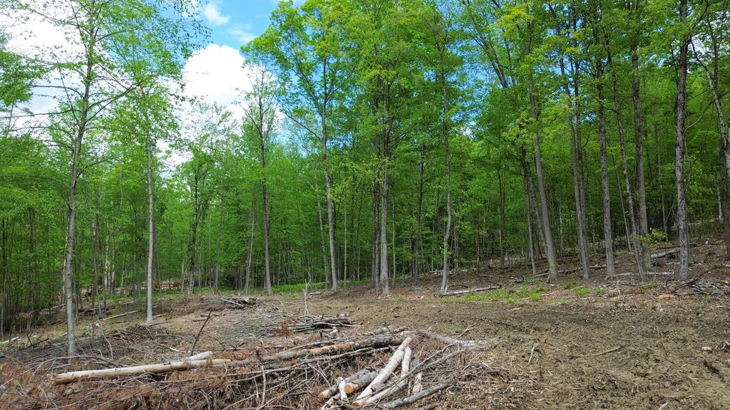 Photo of 262 Plain Road, Hinsdale, NH 03451 (MLS # 5069774)
