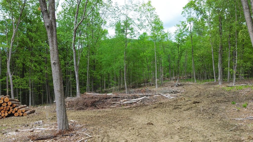 Photo of 262 Plain Road, Hinsdale, NH 03451 (MLS # 5069774)
