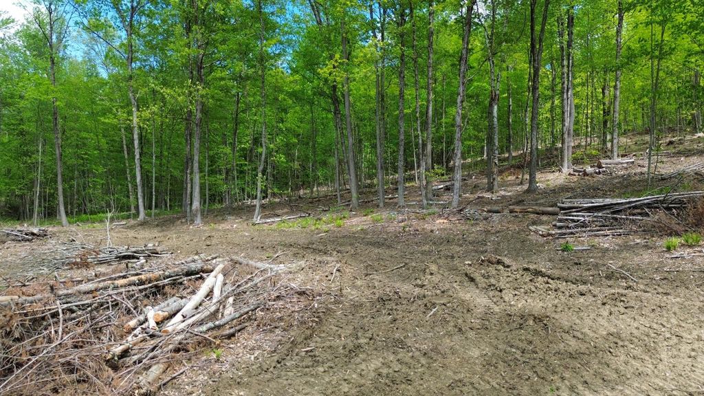 Photo of 262 Plain Road, Hinsdale, NH 03451 (MLS # 5069774)