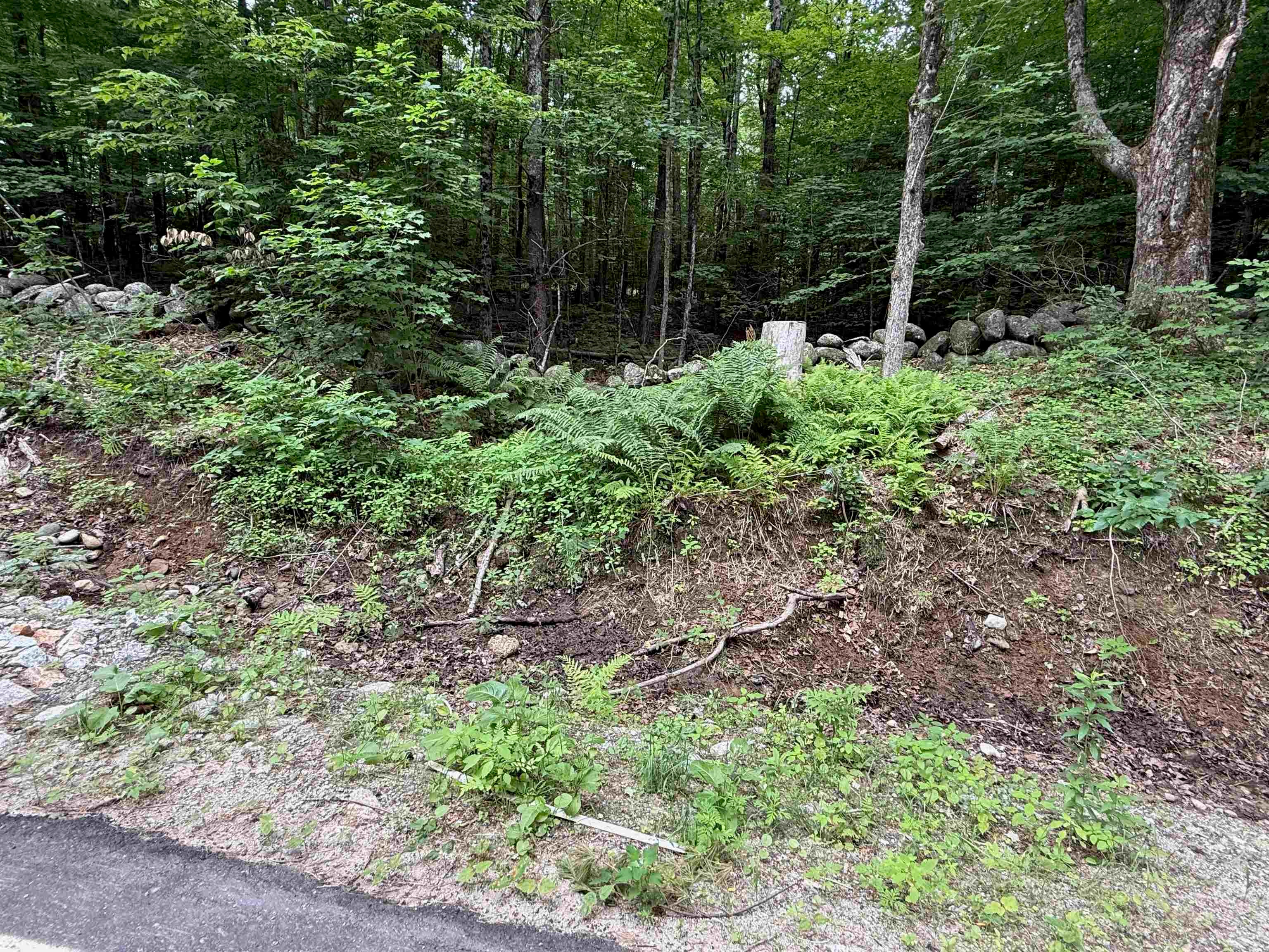 LOT #8-33-3 TYLER Road