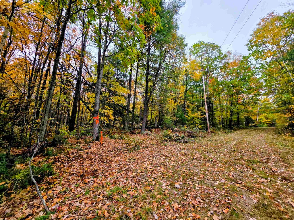 Photo of Blue Trail, Bath, NH 03740 (MLS # 5114084)