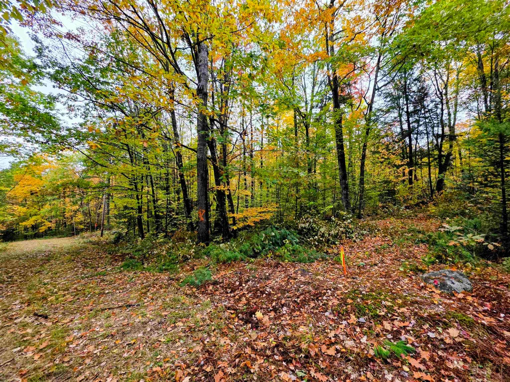 Photo of Blue Trail, Bath, NH 03740 (MLS # 5114084)