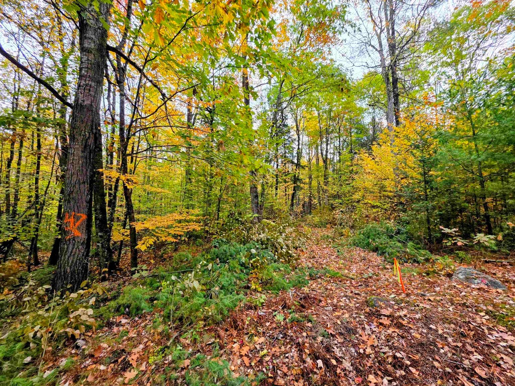 Photo of Blue Trail, Bath, NH 03740 (MLS # 5114084)