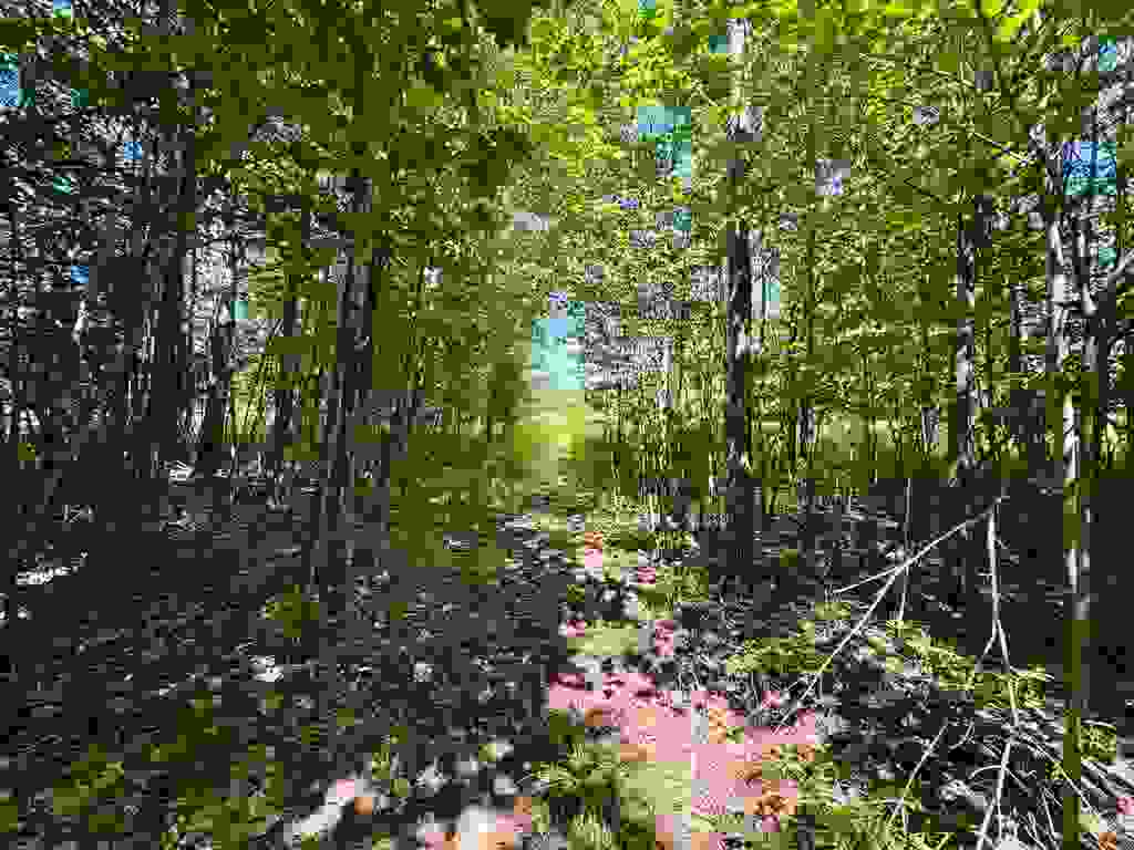 Photo of 0 Cemetery Road, Haverhill, NH 03765 (MLS # 5101703)