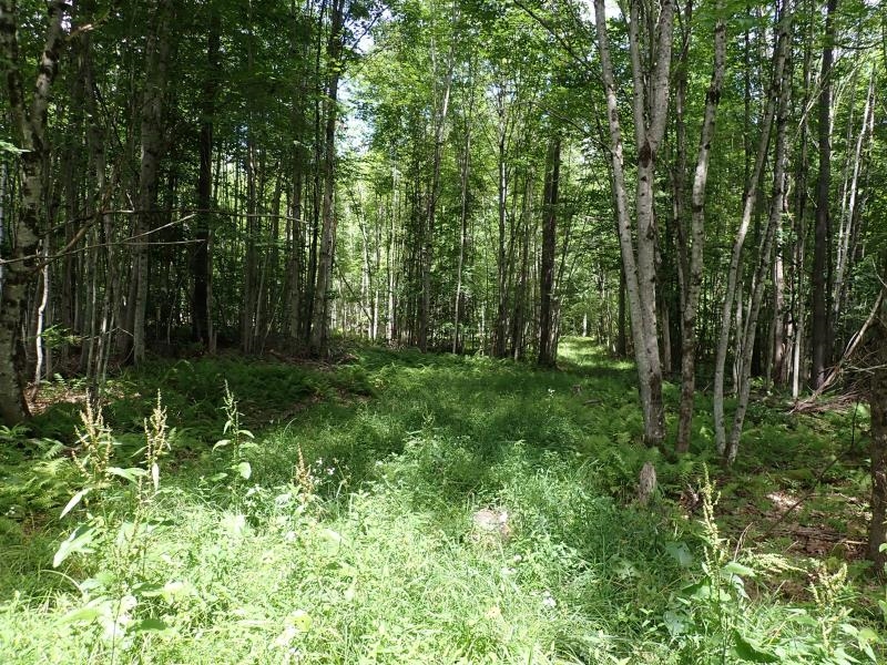 00 Denio Road