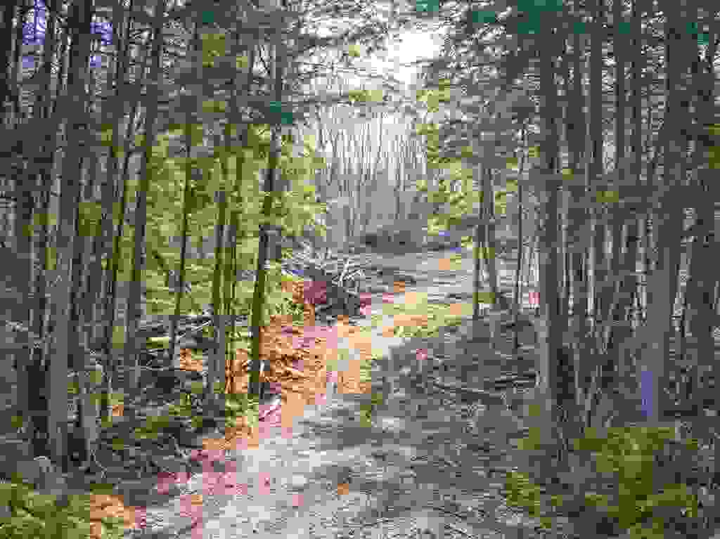 Photo of 0 Hominy Pot Road, Sutton, NH 03260 (MLS # 5084653)