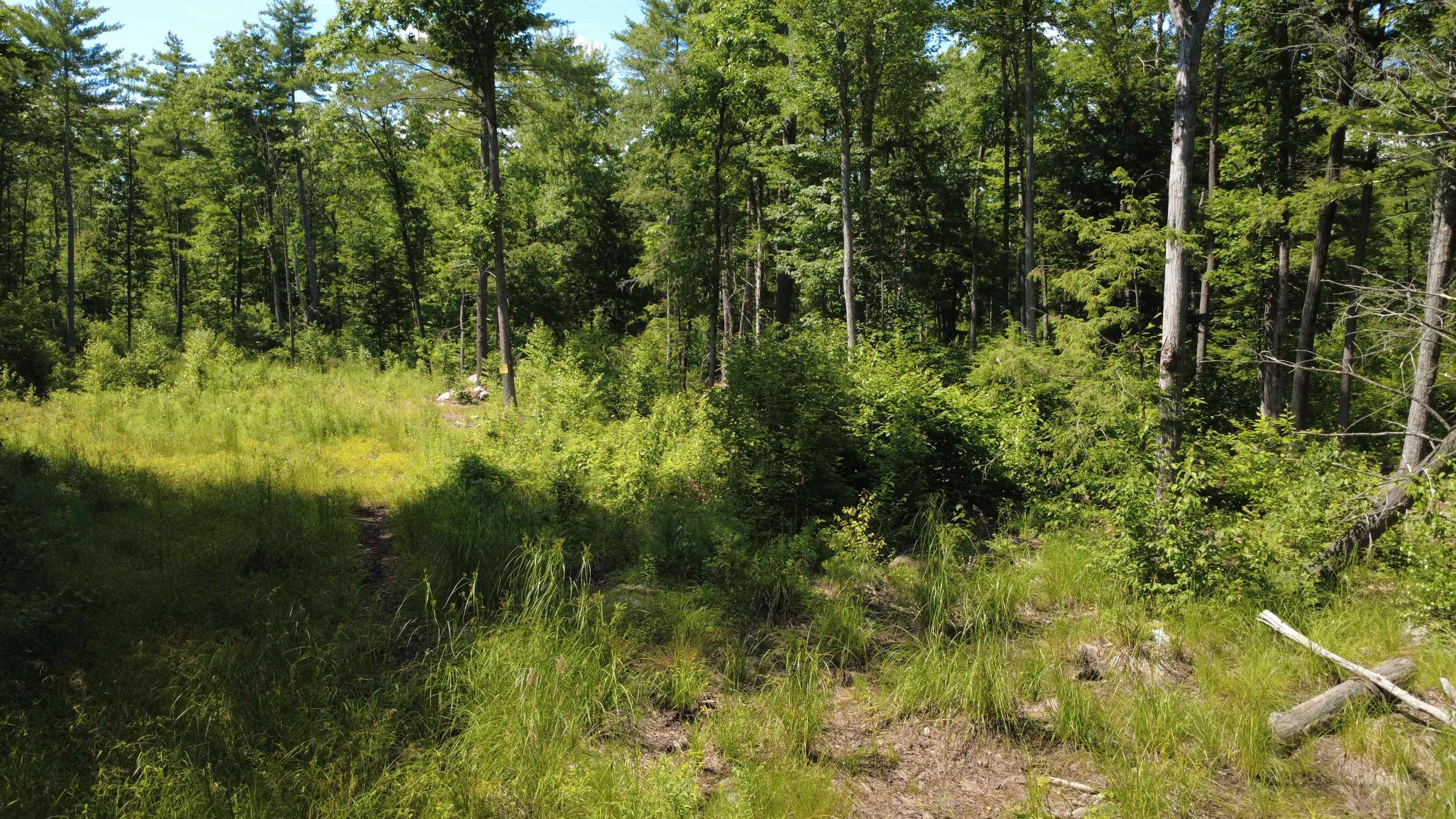 00 Foxtrot Road 20