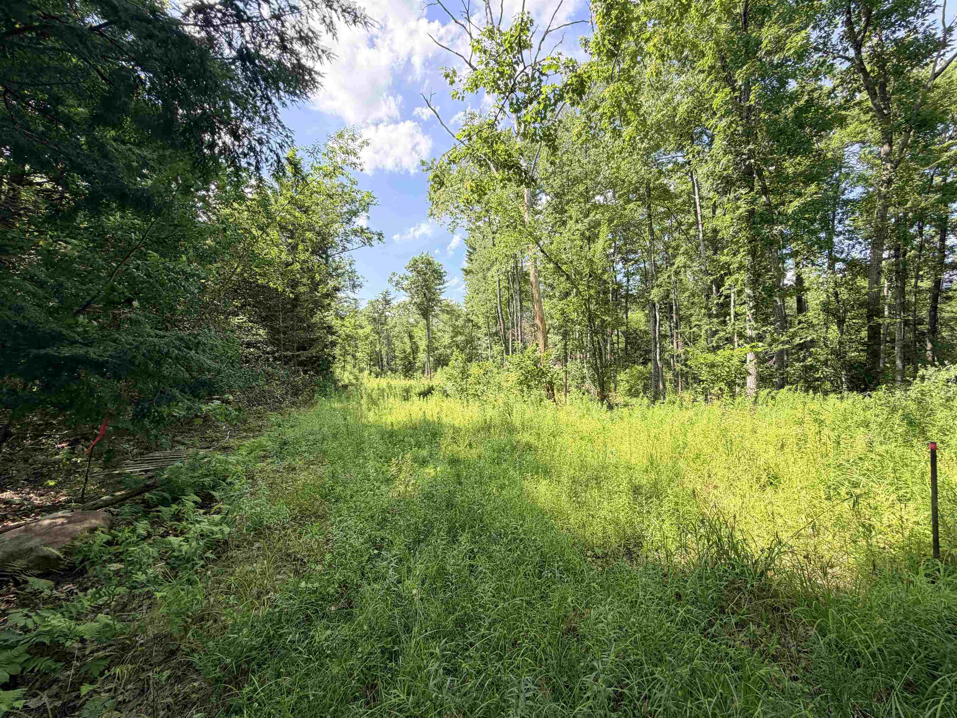 00 Foxtrot Road 20