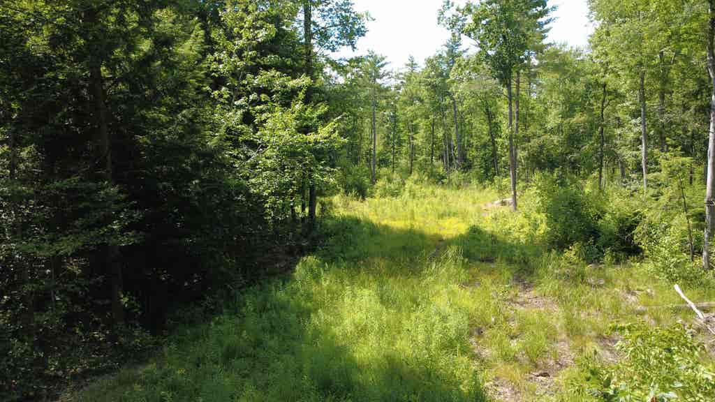 Photo of 00 Foxtrot Road #20, Farmington, NH 03835 (MLS # 5099093)