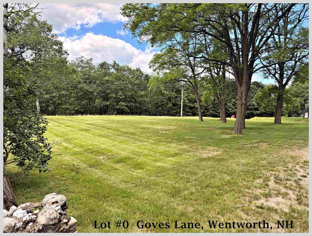 Photo of 00 Goves Lane, Wentworth, NH 03282 (MLS # 5097439)