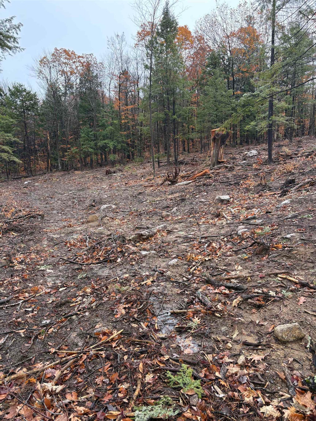 Photo of 12 Sugarloaf Drive #10, Ossipee, NH 03814 (MLS # 5096969)
